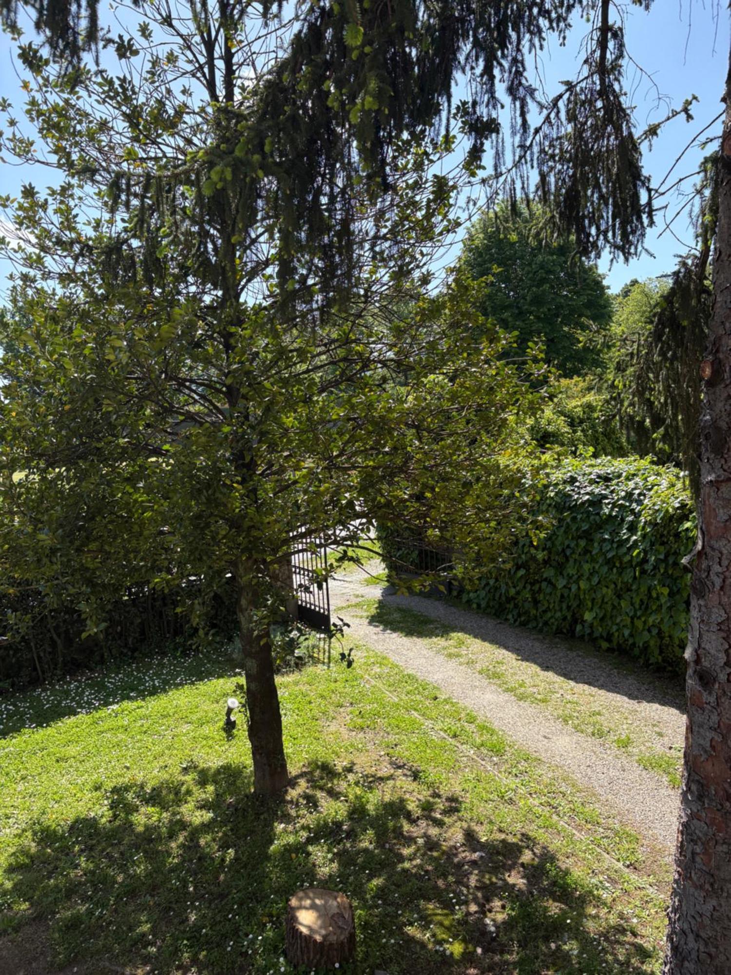 Villa Agnese B&B Λούκα Εξωτερικό φωτογραφία